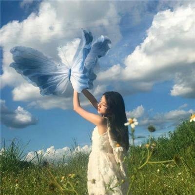绵羊侦探团